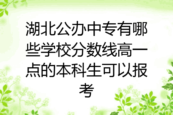 湖北公办中专有哪些学校分数线高一点的本科生可以报考