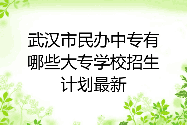 武汉市民办中专有哪些大专学校招生计划最新
