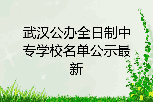 武汉公办全日制中专学校名单公示最新