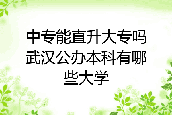中专能直升大专吗武汉公办本科有哪些大学