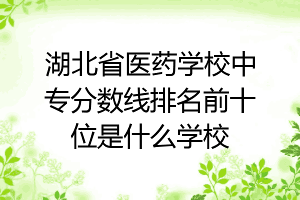 湖北省医药学校中专分数线排名前十位是什么学校
