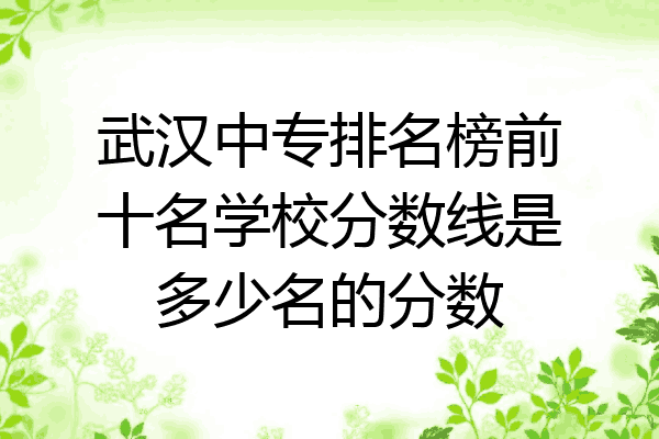武汉中专排名榜前十名学校分数线是多少名的分数