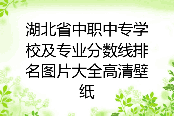 湖北省中职中专学校及专业分数线排名图片大全高清壁纸