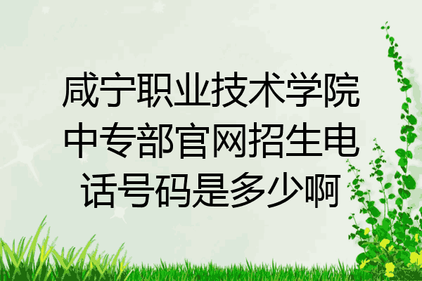 咸宁职业技术学院中专部官网招生电话号码是多少啊