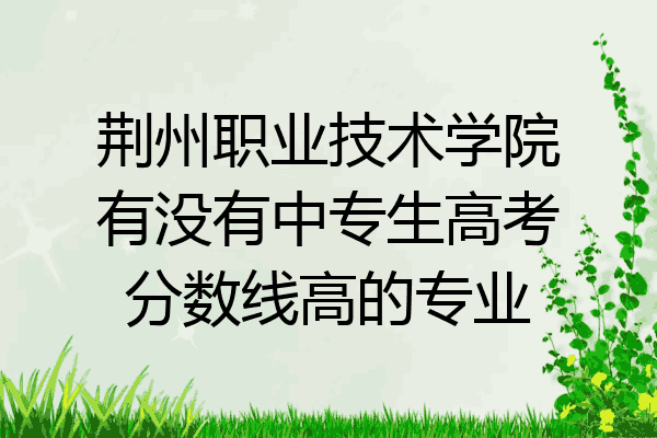 荆州职业技术学院有没有中专生高考分数线高的专业