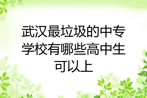 武汉最垃圾的中专学校有哪些高中生可以上