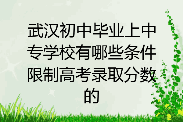 武汉初中毕业上中专学校有哪些条件限制高考录取分数的