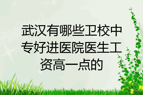 武汉有哪些卫校中专好进医院医生工资高一点的