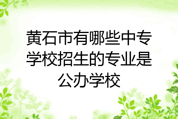 黄石市有哪些中专学校招生的专业是公办学校