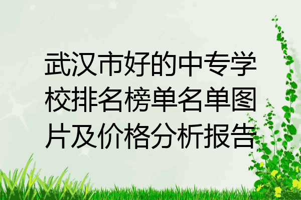 武汉市好的中专学校排名榜单名单图片及价格分析报告