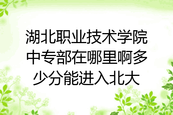 湖北职业技术学院中专部在哪里啊多少分能进入北大