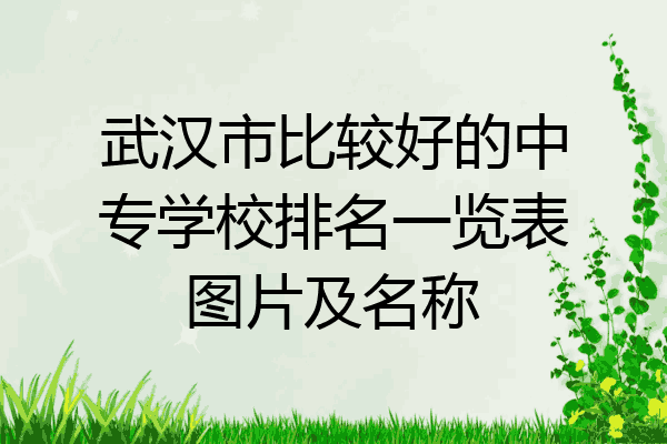 武汉市比较好的中专学校排名一览表图片及名称
