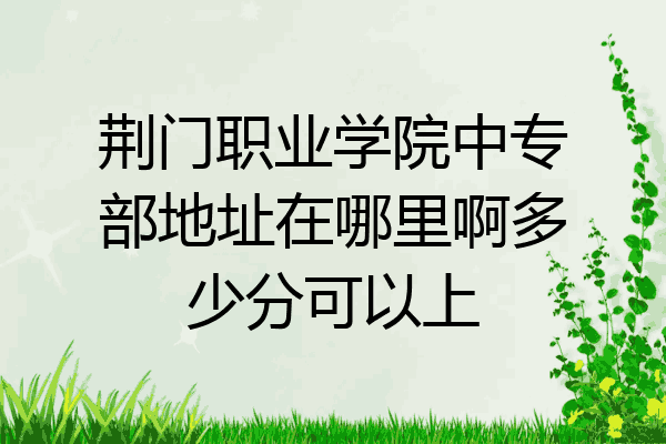 荆门职业学院中专部地址在哪里啊多少分可以上