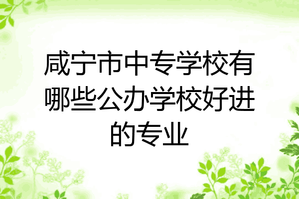咸宁市中专学校有哪些公办学校好进的专业