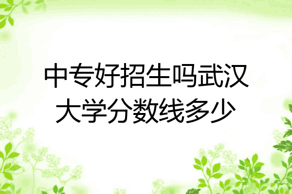 中专好招生吗武汉大学分数线多少