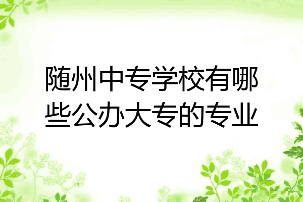 随州中专学校有哪些公办大专的专业