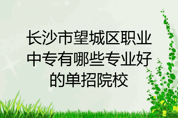 长沙市望城区职业中专有哪些专业好的单招院校