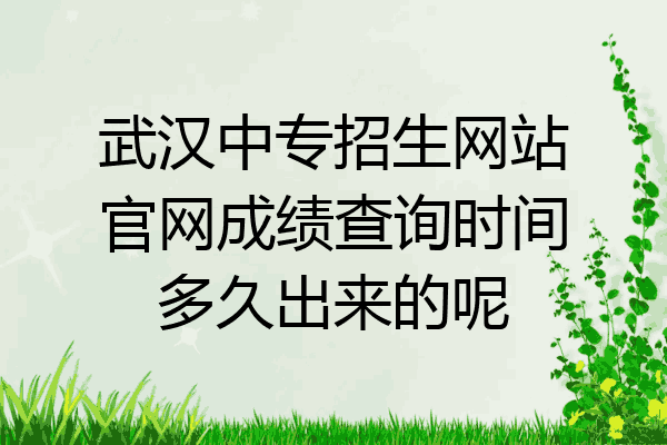 武汉中专招生网站官网成绩查询时间多久出来的呢