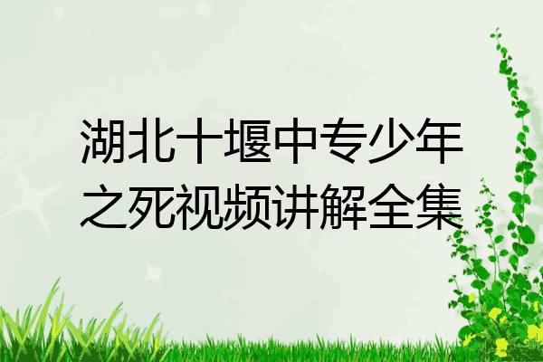 湖北十堰中专少年之死视频讲解全集