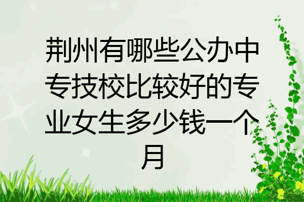 荆州有哪些公办中专技校比较好的专业女生多少钱一个月