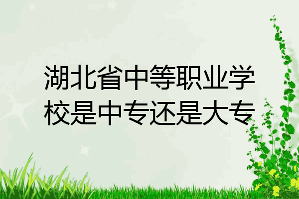 湖北省中等职业学校是中专还是大专