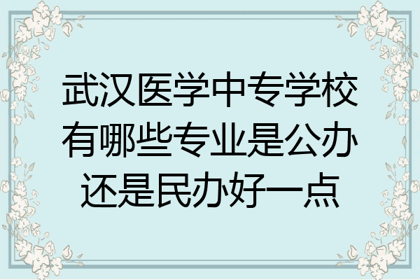 武汉医学中专学校有哪些专业是公办还是民办好一点