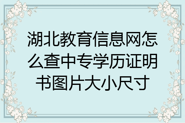 湖北教育信息网怎么查中专学历证明书图片大小尺寸