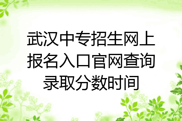 武汉中专招生网上报名入口官网查询录取分数时间