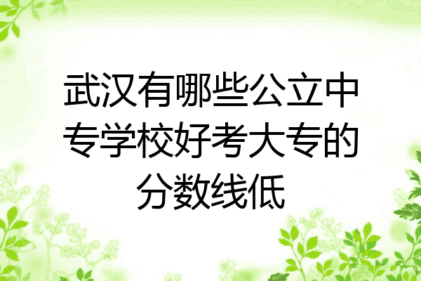 武汉有哪些公立中专学校好考大专的分数线低
