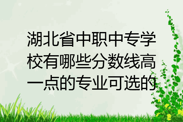 湖北省中职中专学校有哪些分数线高一点的专业可选的