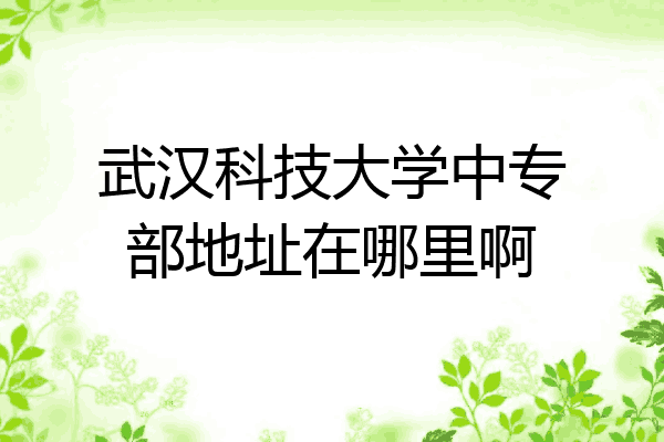 武汉科技大学中专部地址在哪里啊