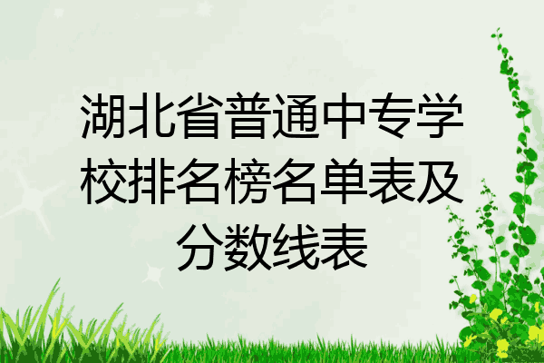 湖北省普通中专学校排名榜名单表及分数线表