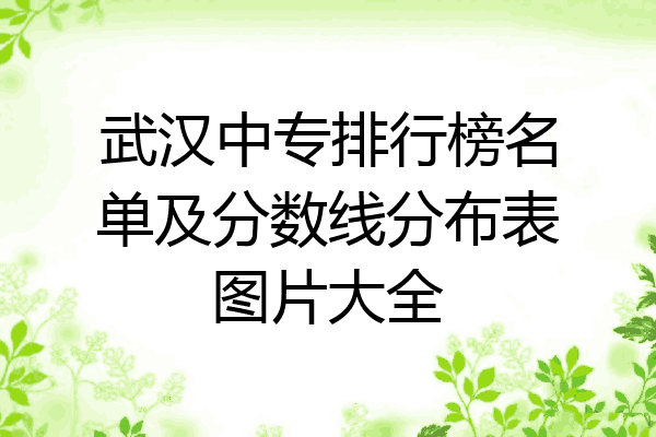 武汉中专排行榜名单及分数线分布表图片大全