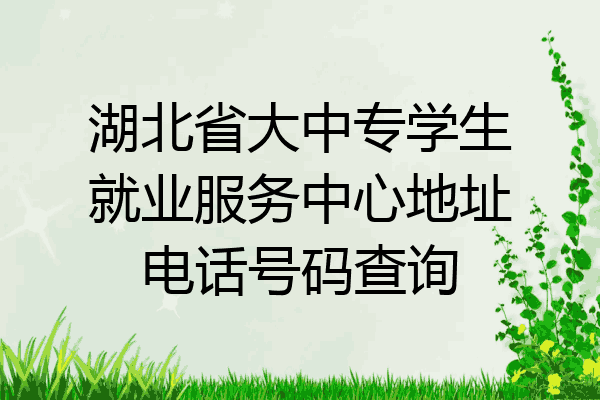 湖北省大中专学生就业服务中心地址电话号码查询