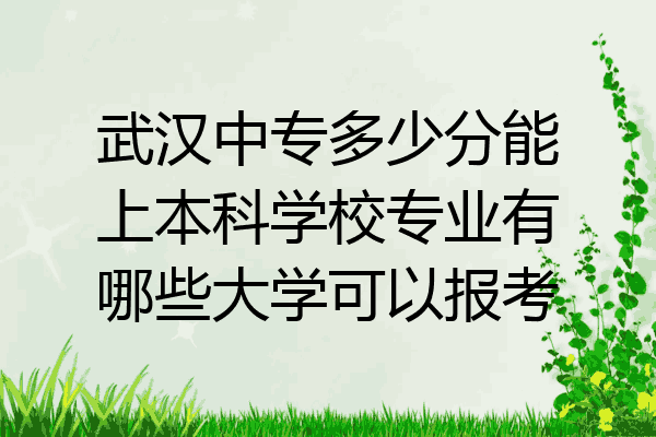 武汉中专多少分能上本科学校专业有哪些大学可以报考