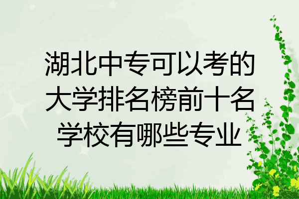 湖北中专可以考的大学排名榜前十名学校有哪些专业