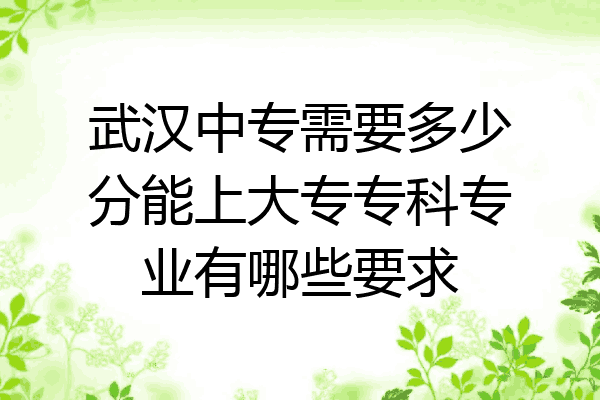 武汉中专需要多少分能上大专专科专业有哪些要求