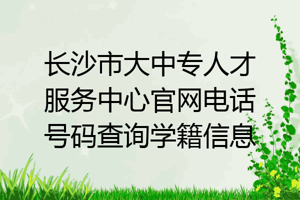 长沙市大中专人才服务中心官网电话号码查询学籍信息