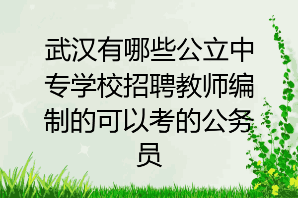 武汉有哪些公立中专学校招聘教师编制的可以考的公务员