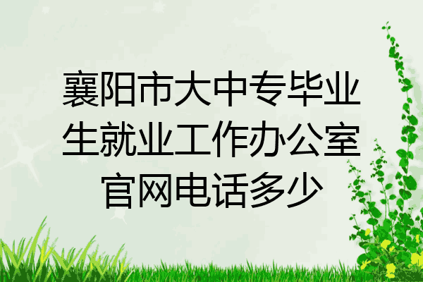 襄阳市大中专毕业生就业工作办公室官网电话多少