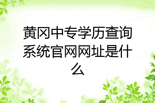 黄冈中专学历查询系统官网网址是什么