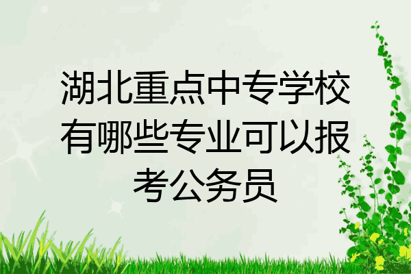 湖北重点中专学校有哪些专业可以报考公务员