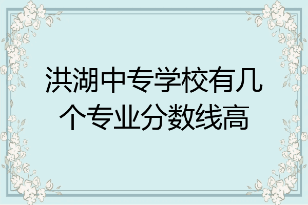 洪湖中专学校有几个专业分数线高