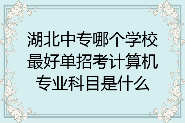 湖北中专哪个学校最好单招考计算机专业科目是什么