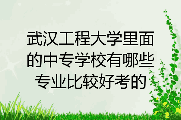 武汉工程大学里面的中专学校有哪些专业比较好考的