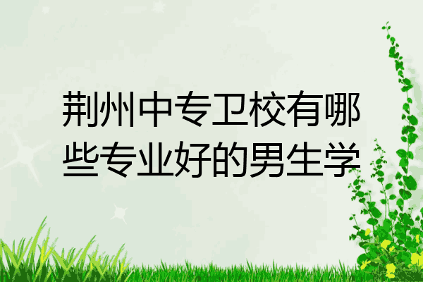 荆州中专卫校有哪些专业好的男生学