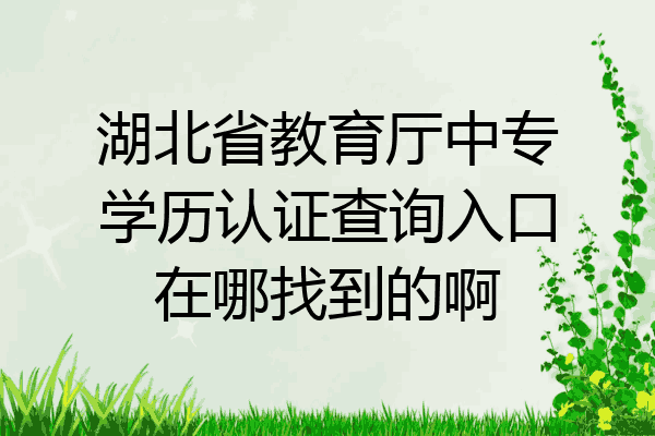 湖北省教育厅中专学历认证查询入口在哪找到的啊