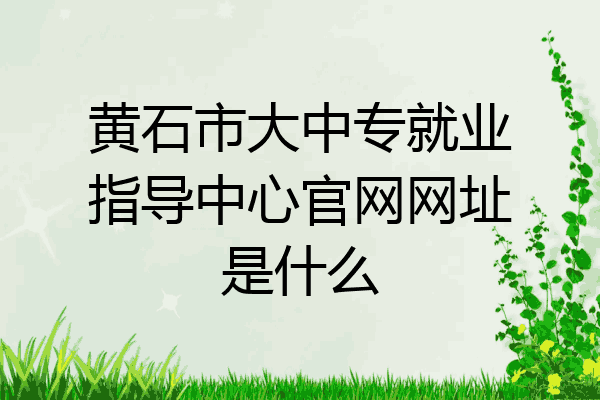 黄石市大中专就业指导中心官网网址是什么