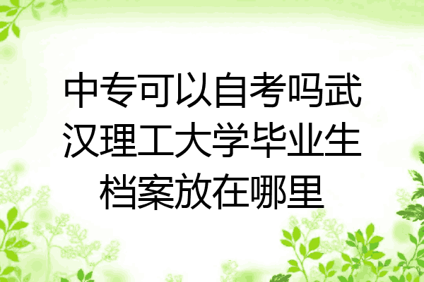 中专可以自考吗武汉理工大学毕业生档案放在哪里