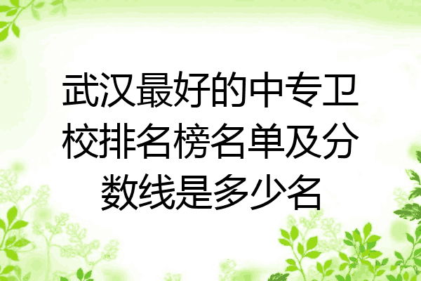 武汉最好的中专卫校排名榜名单及分数线是多少名